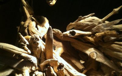 Driftwood Canadian Goose